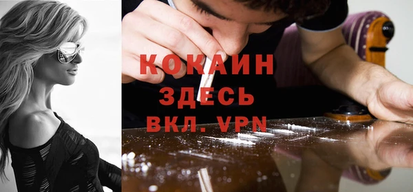 хмурый Бородино