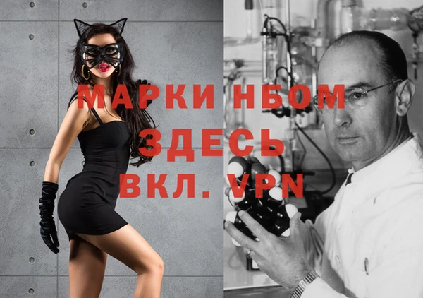 твердый Вяземский