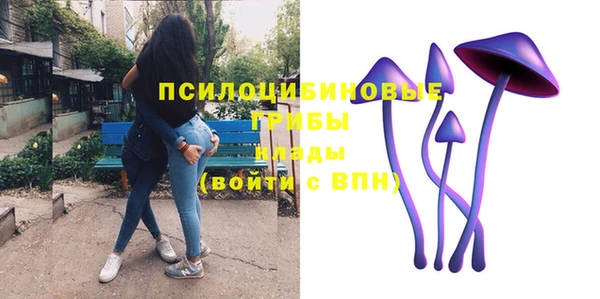 молекула духа Володарск