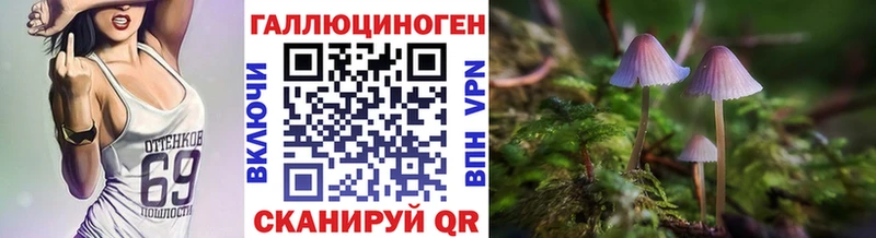 darknet состав  Искитим  Галлюциногенные грибы Psilocybe 